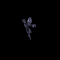 animated_ghost.gif (49465 bytes)